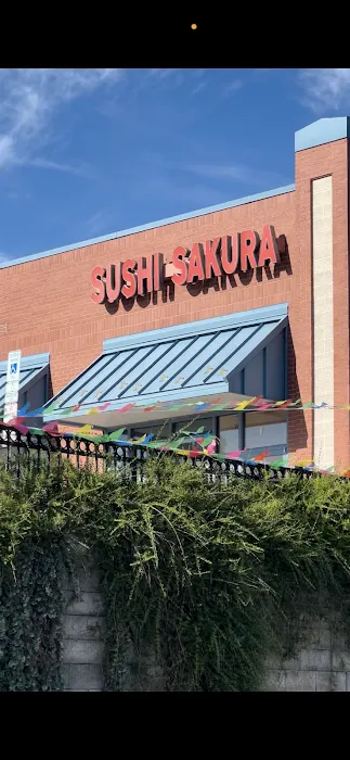 Sushi Sakura & Ramen Picture 7