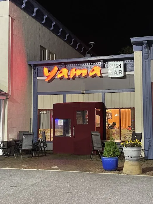 Yama Sushi bar Picture 4