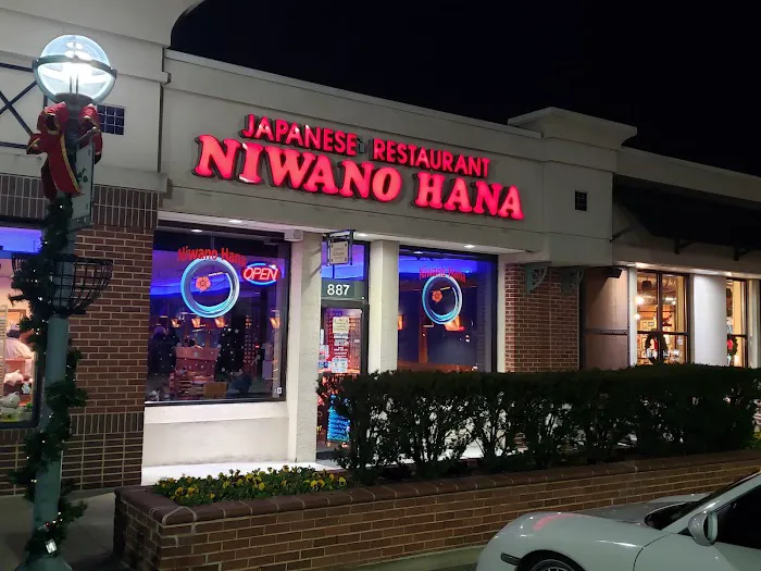 Niwano Hana Picture 1