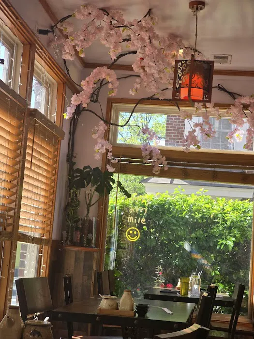 Nishiki Ramen & Sushi Picture 10