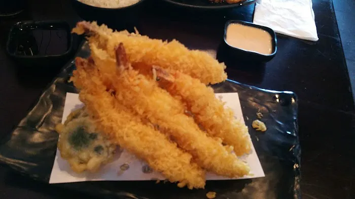 Fujiyama Picture 9