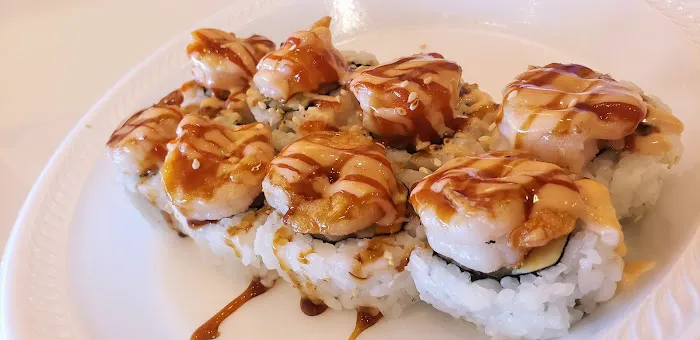 Extreme Teriyaki Grill Express Picture 2