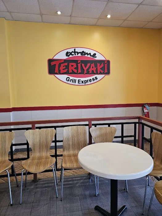 Extreme Teriyaki Grill Express Picture 8