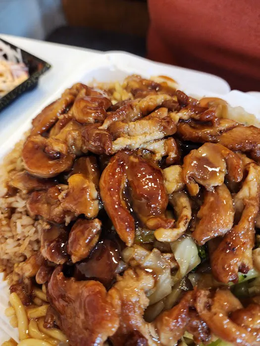 Extreme Teriyaki Grill Express Picture 10