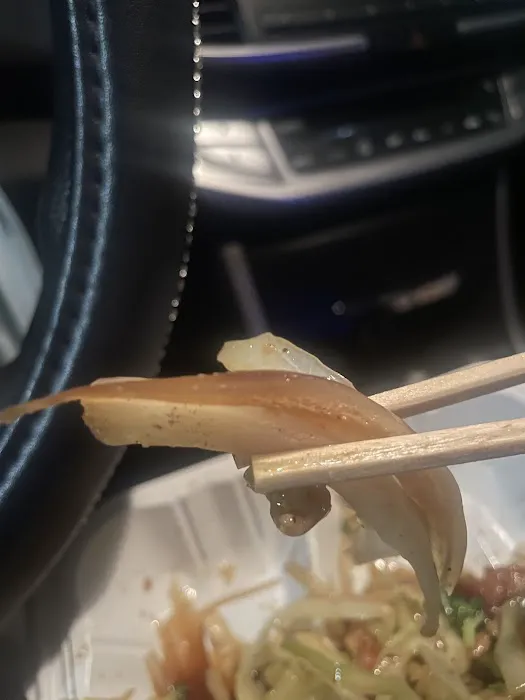 Quickway Japanese Hibachi Picture 5