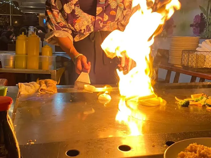 New Fujiya House Picture 1