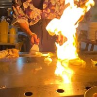 New Fujiya House ico