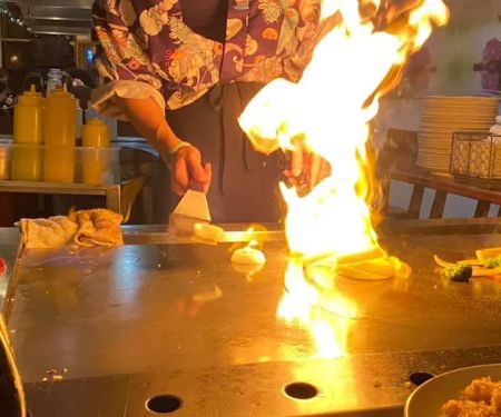 New Fujiya House