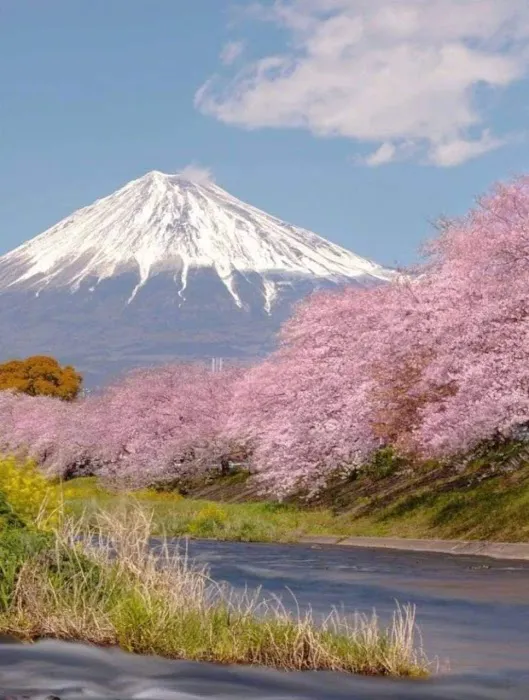 Mount Fuji Picture 6