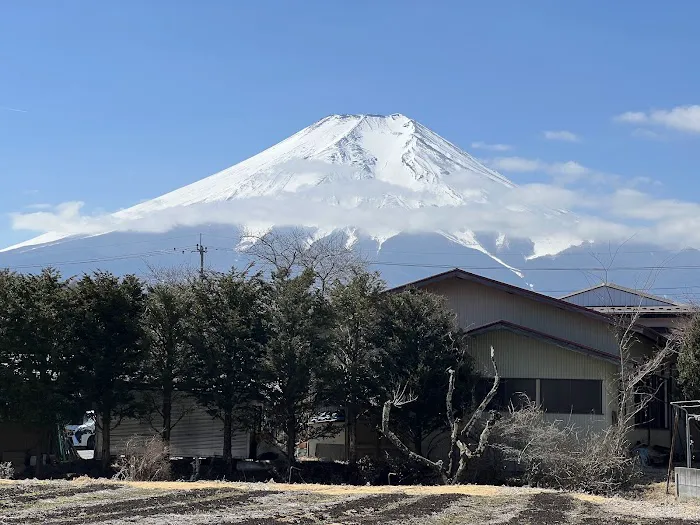 Mount Fuji Picture 10