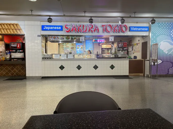 Sakura Tokyo Picture 2