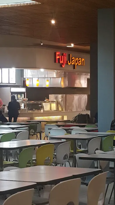 Fuji Japan Picture 2