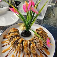 MIDORI sushi & hibachi express ico