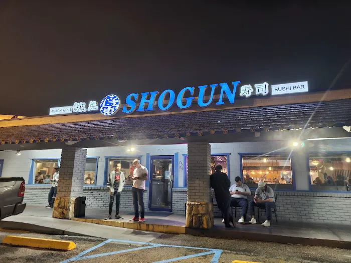 Shogun Picture 2