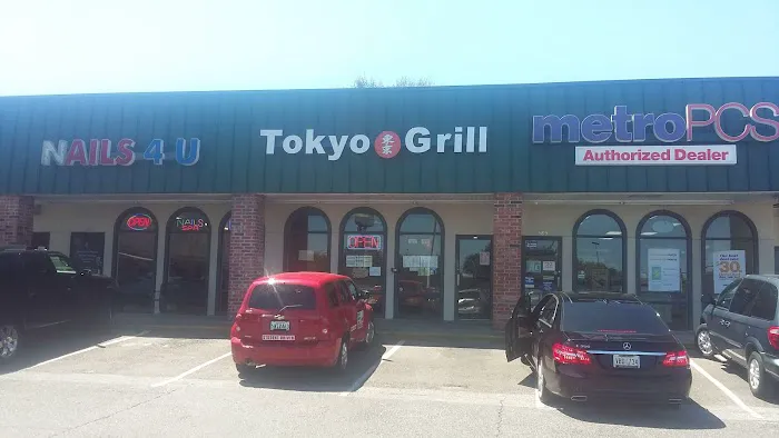 Tokyo Grill Picture 5