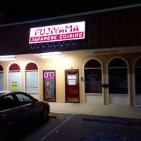 Fujiyama ico