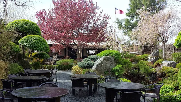 Domo Japanese Country Food Restaurant Picture 2