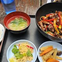 Domo Japanese Country Food Restaurant ico