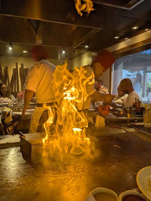 Benihana Picture 4