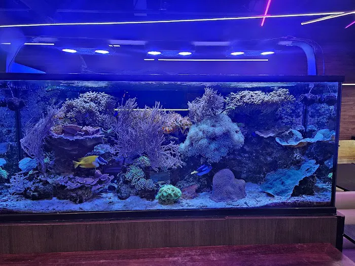 Menya Sushi Bar Picture 9