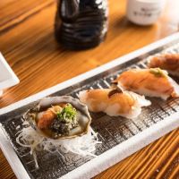 Land of Sushi ico