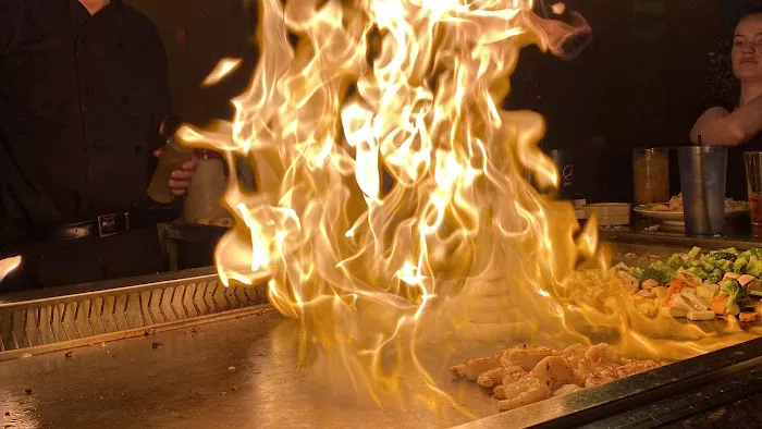 Fujiyama Japanese Hibachi & Sushi Picture 2