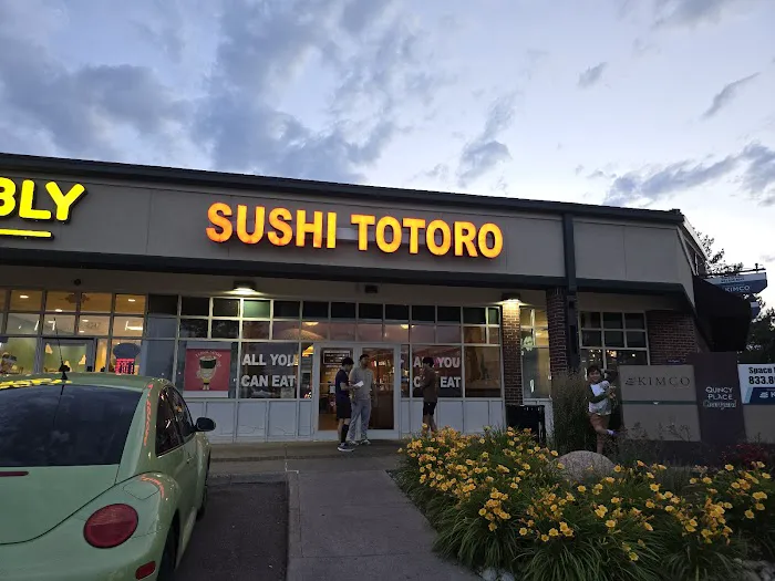 Sushi Totoro Picture 1