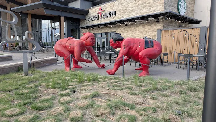 Sachi Sushi Denver Picture 4