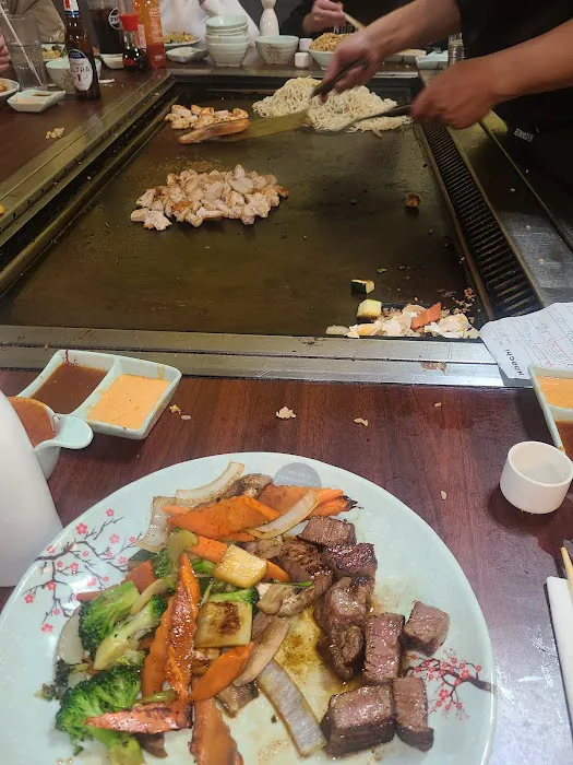 Mt Fuji Hibachi Picture 7