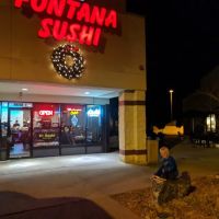 Fontana Sushi ico