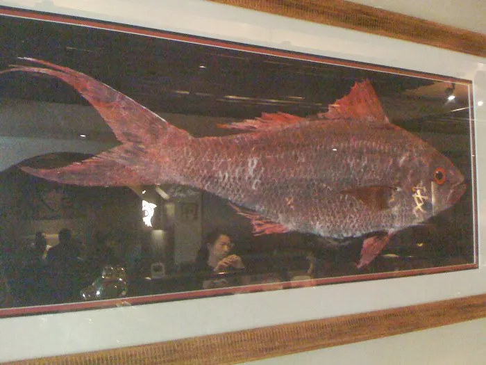 Sakana Sushi Restaurant Picture 9