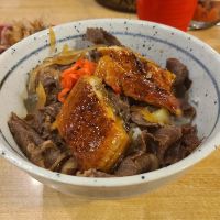 I ai Sushi ico