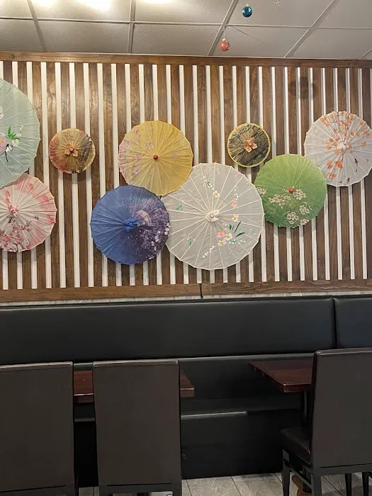 Katana Japanese Express (Riverview) Picture 8