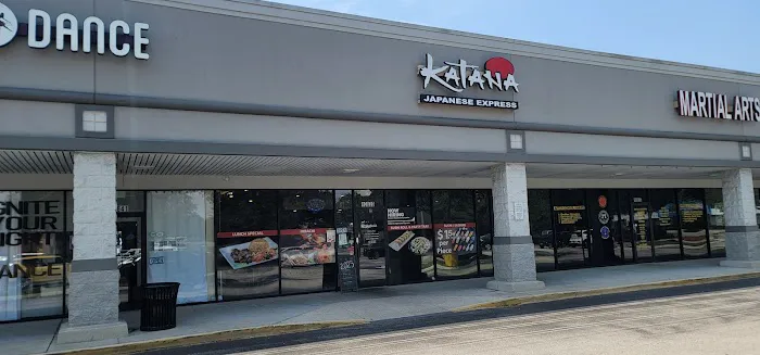 Katana Japanese Express (Riverview) Picture 6