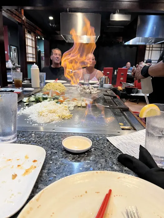 Tonbo Hibachi Grille Picture 8