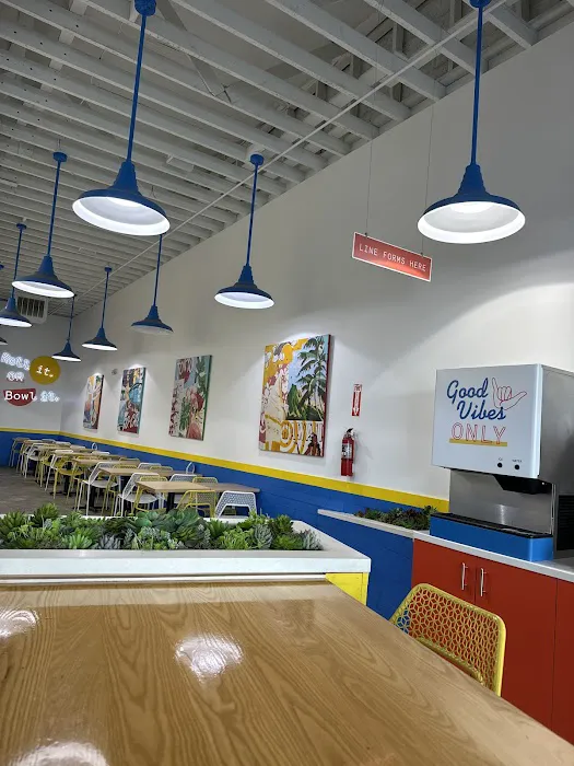 Pacific Counter - Downtown St. Pete Picture 8