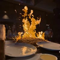 Daruma North Sarasota - Japanese Steakhouse & Sushi Lounge ico
