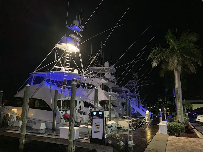 Island Ocean Star Picture 6