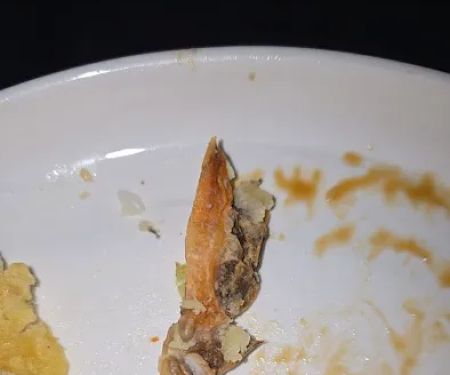 Hibachi Express