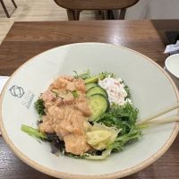 Sushi Kudasai ico