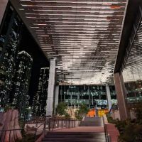 Momiji South Lake Union ico