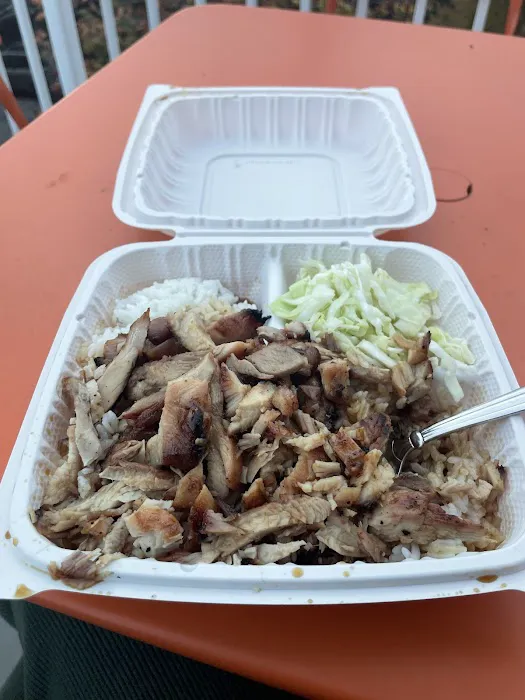 Yasuko's Teriyaki Picture 8