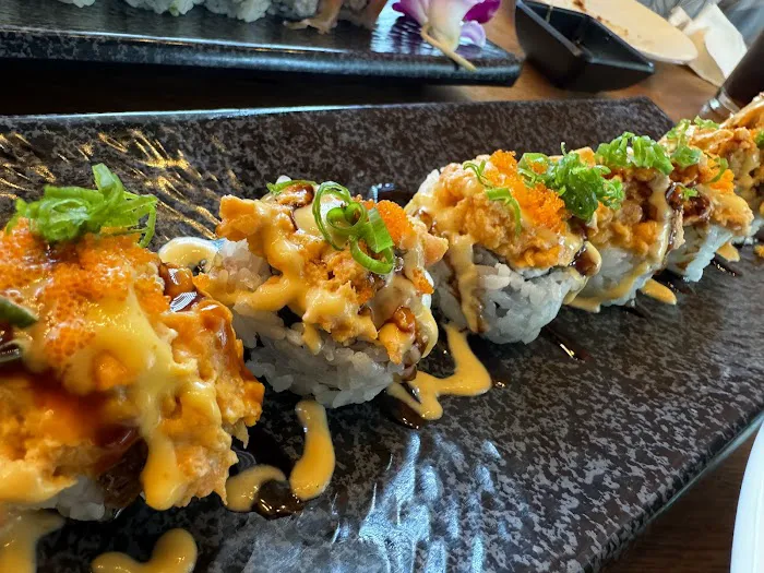Aji Sushi & Grill Newcastle Picture 3