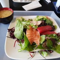 Sushi Kudasai ico