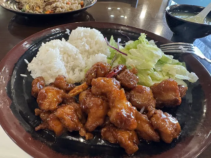 Wild Ginger Teriyaki Picture 9