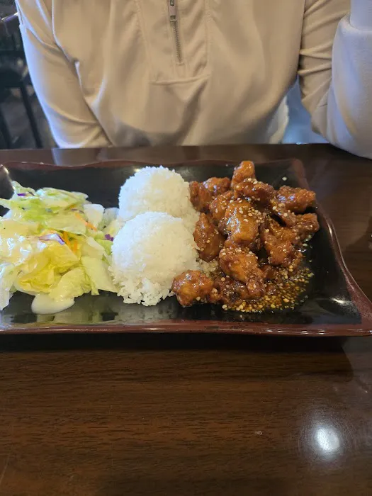 Wild Ginger Teriyaki Picture 5
