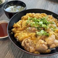Akebono Japanese Cuisine ico