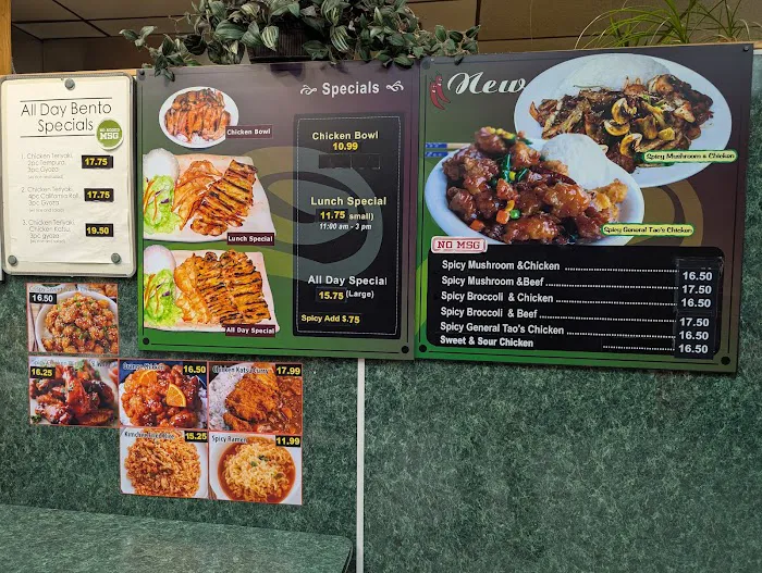 Teriyaki Plus Picture 4
