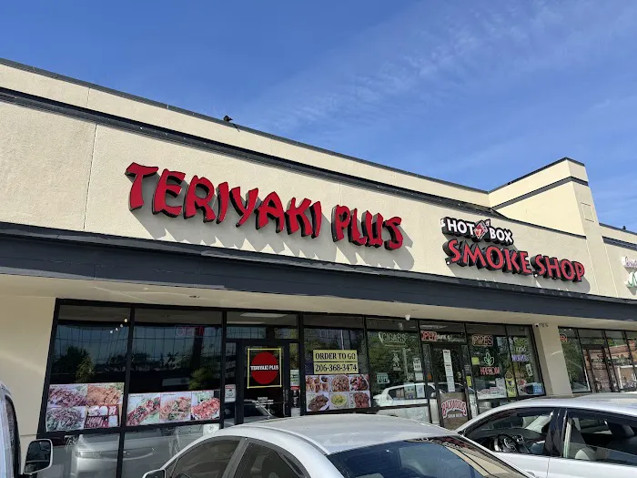Teriyaki Plus Picture 5