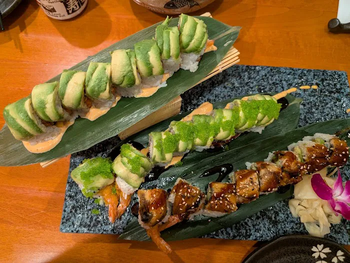 Big Fish Sushi Picture 5